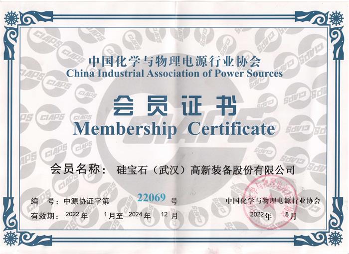 Member of the China Chemical and Physical Power Industry Association